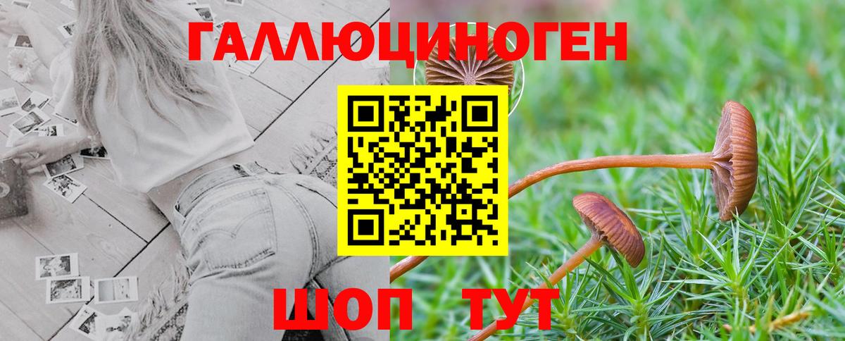 Псилоцибиновые грибы Cubensis Златоуст