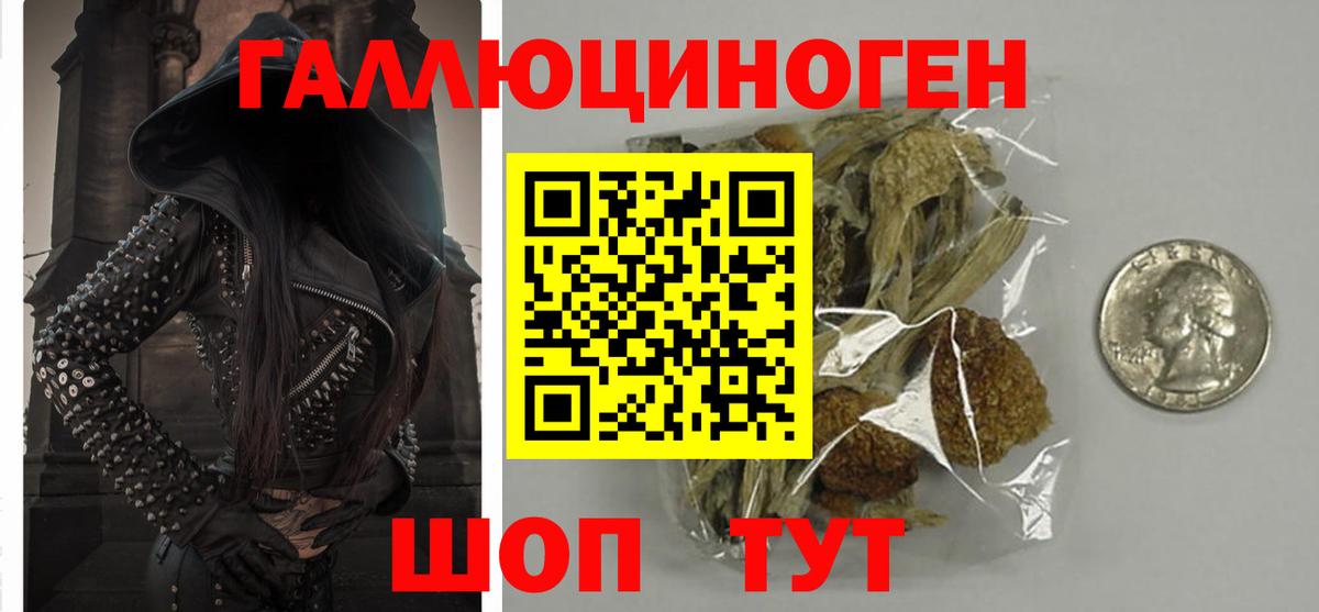Галлюциногенные грибы мицелий  Вход с VPN  Златоуст  Галлюциногенные грибы мицелий 